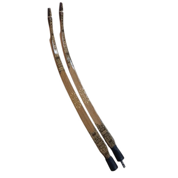 Laminated Bow Takedown Ayoz Archery